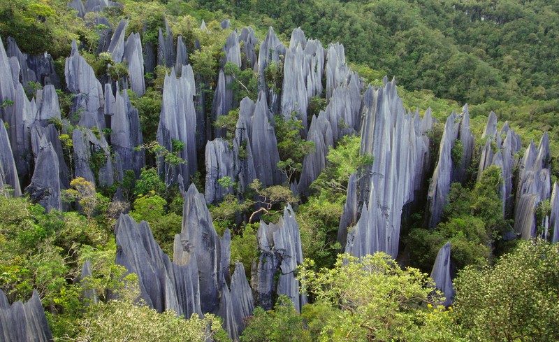     Gunung Mulu National Park